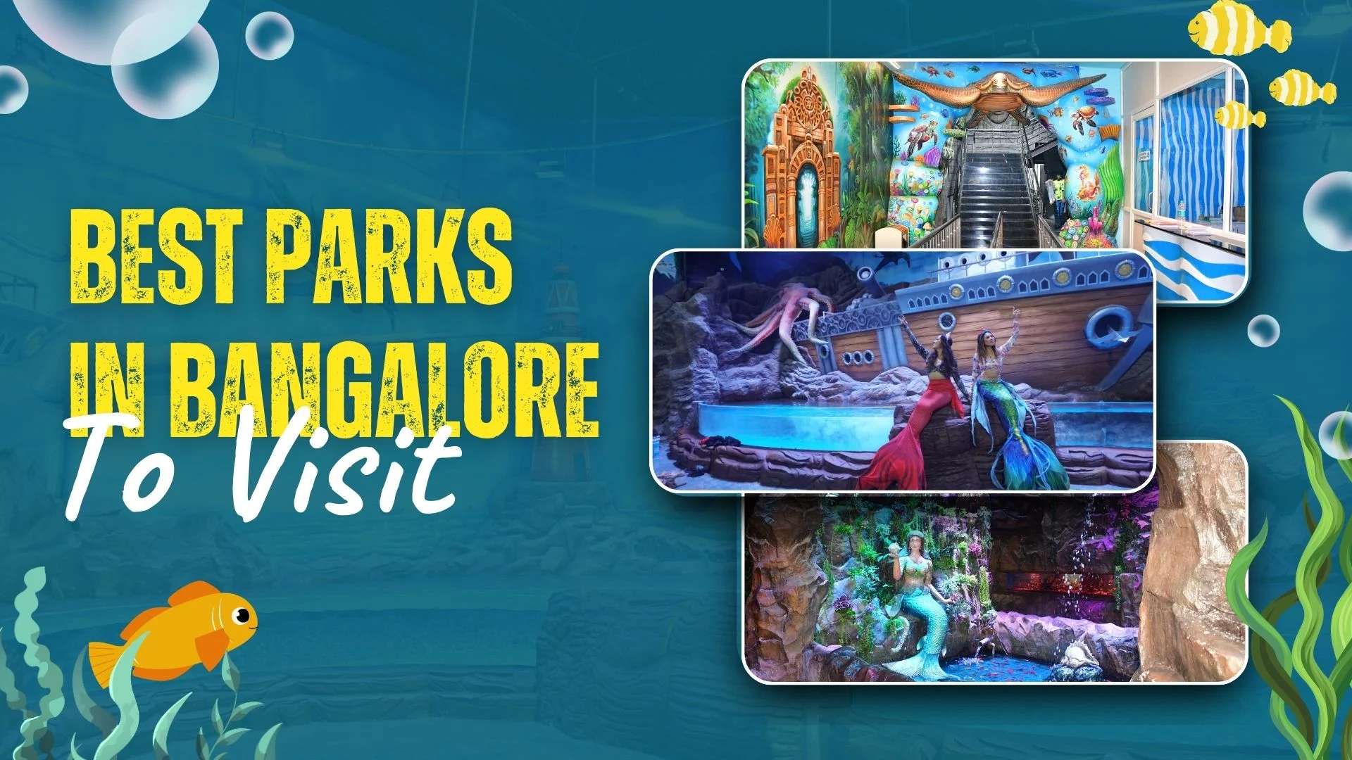 Best Parks in Bangalore to Visit in 2026